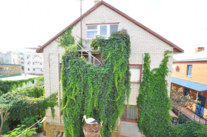 Guesthouse Viola